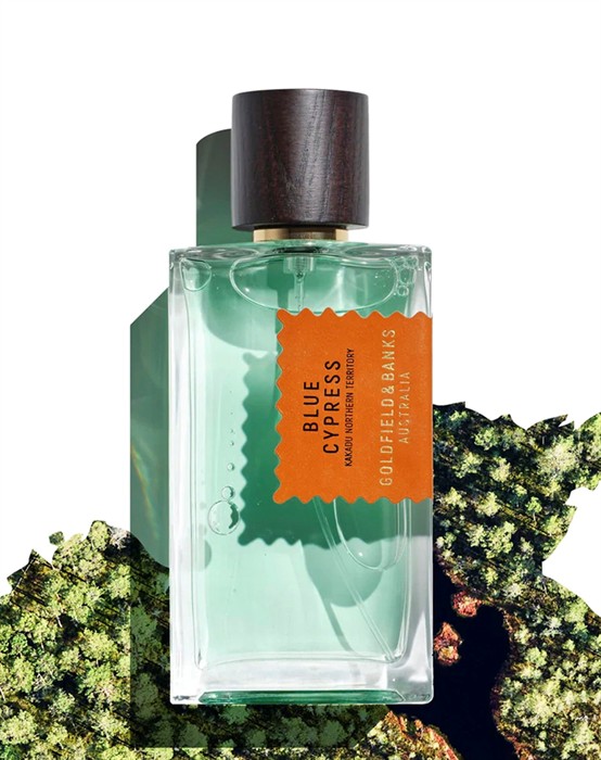 Blue Cypress - 100 ml